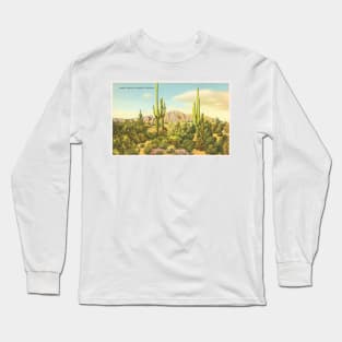 Phoenix, Arizona postcard Long Sleeve T-Shirt